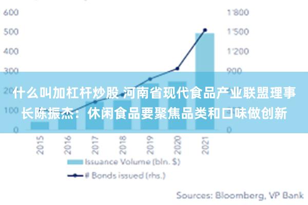 什么叫加杠杆炒股 河南省现代食品产业联盟理事长陈振杰：休闲食品要聚焦品类和口味做创新