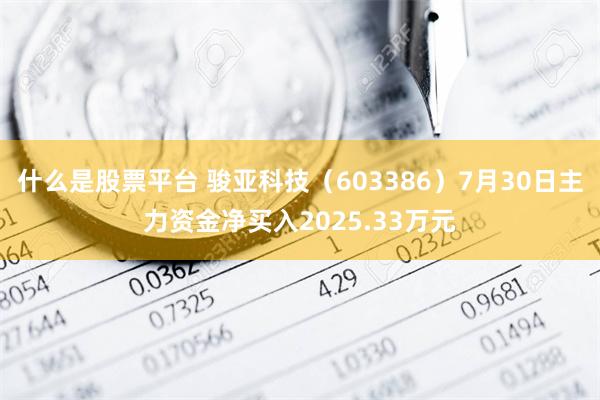 什么是股票平台 骏亚科技（603386）7月30日主力资金净买入2025.33万元