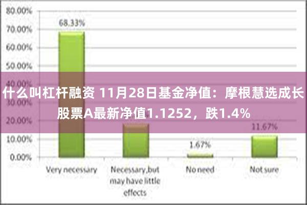 什么叫杠杆融资 11月28日基金净值：摩根慧选成长股票A最新净值1.1252，跌1.4%