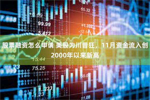 股票融资怎么申请 美股为川普狂，11月资金流入创2000年以来新高