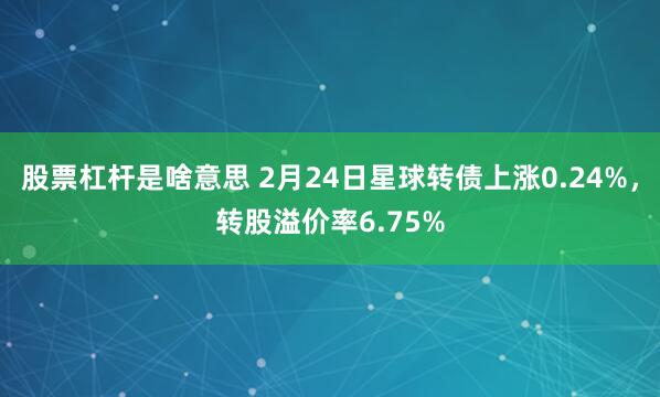 股票杠杆是啥意思 2月24日星球转债上涨0.24%，转股溢价率6.75%