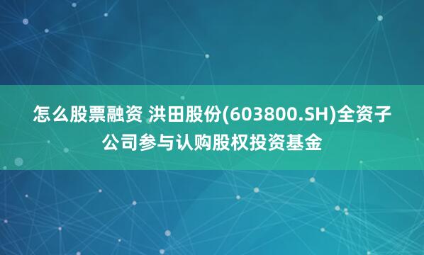 怎么股票融资 洪田股份(603800.SH)全资子公司参与认购股权投资基金